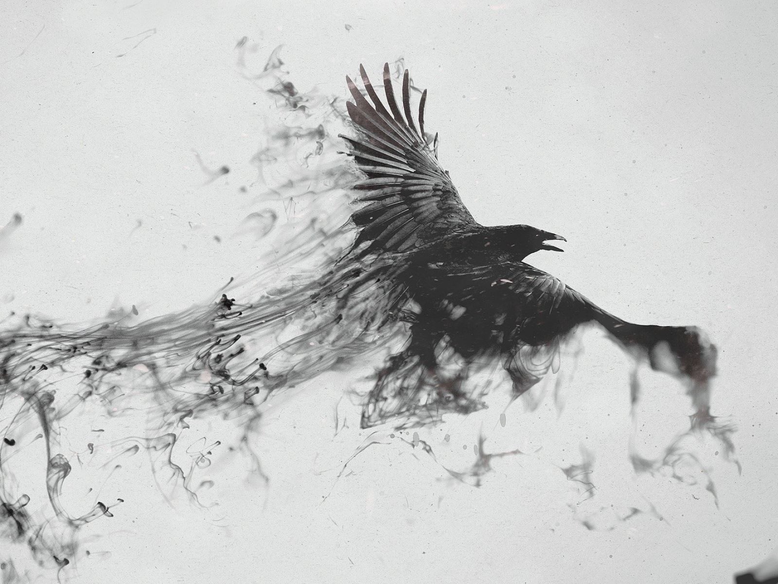 Download Wallpaper 1600x1200 Raven, Bird, Flying, Smoke, Black white 1600x1200 HD Background. Smoke art, Crow tattoo, Raven flying
