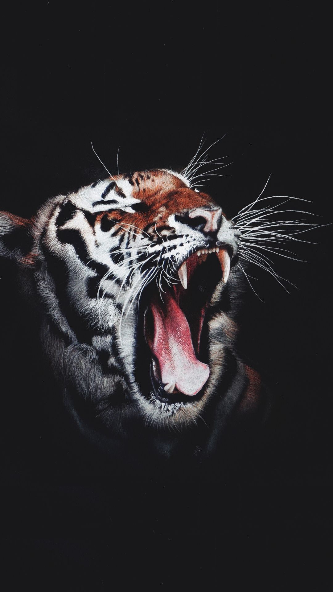 Tiger, wild animal, predator, muzzle, roar, dark, 1080x1920 wallpaper. Tiger image, Pets cats, Animals beautiful