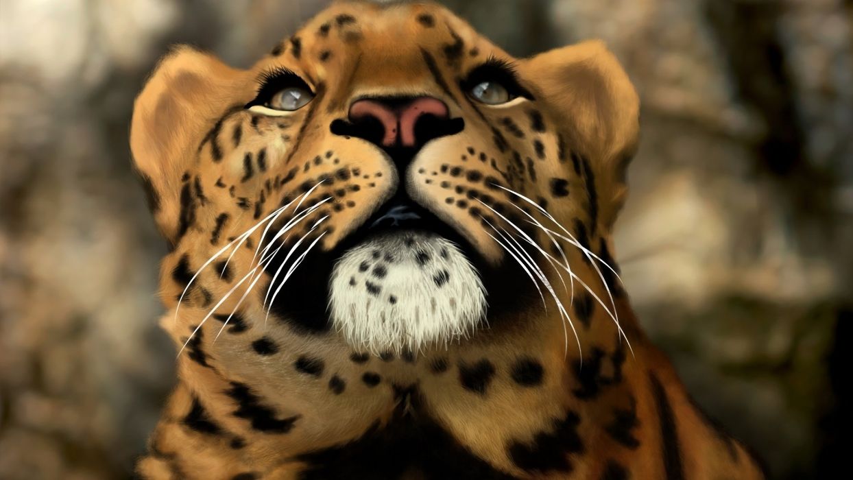 Head face leopard art cat wild predator wallpaperx1080