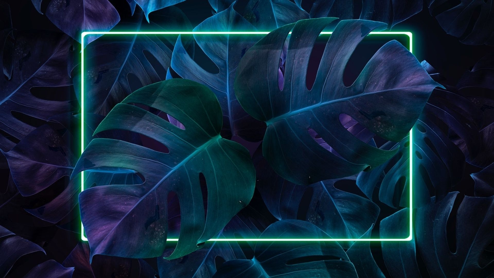 Tropical Neon (1920x1080)