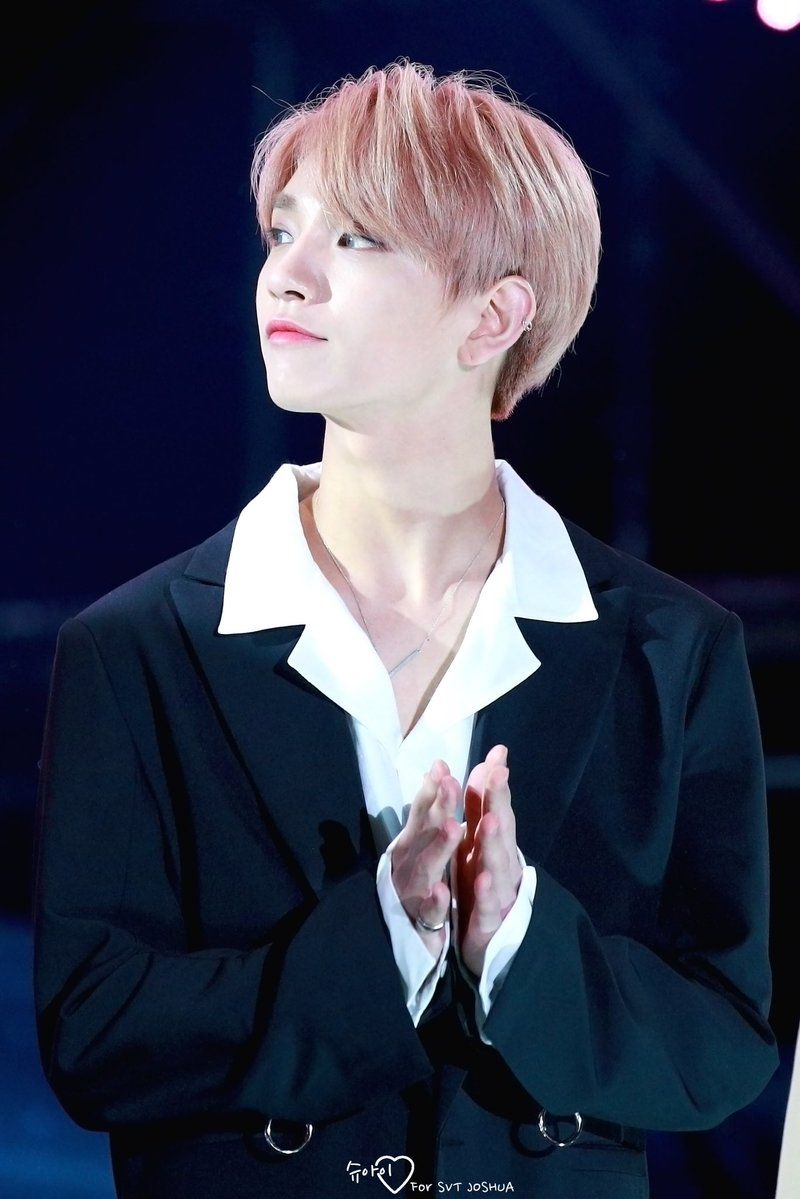 image about 「 Hong Jisoo. 홍지수 」. See more about Seventeen, joshua and hong jisoo