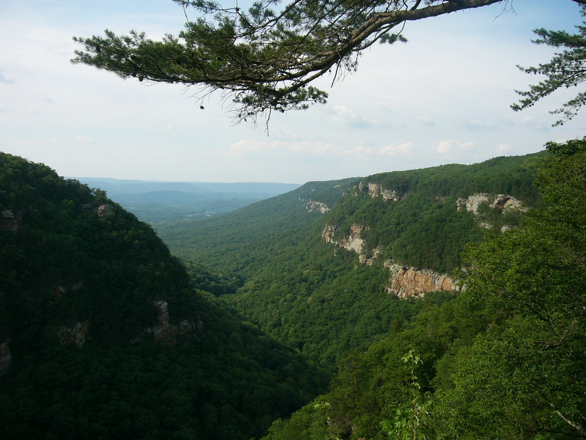 Discover the Rich History of Cloudland, Georgia