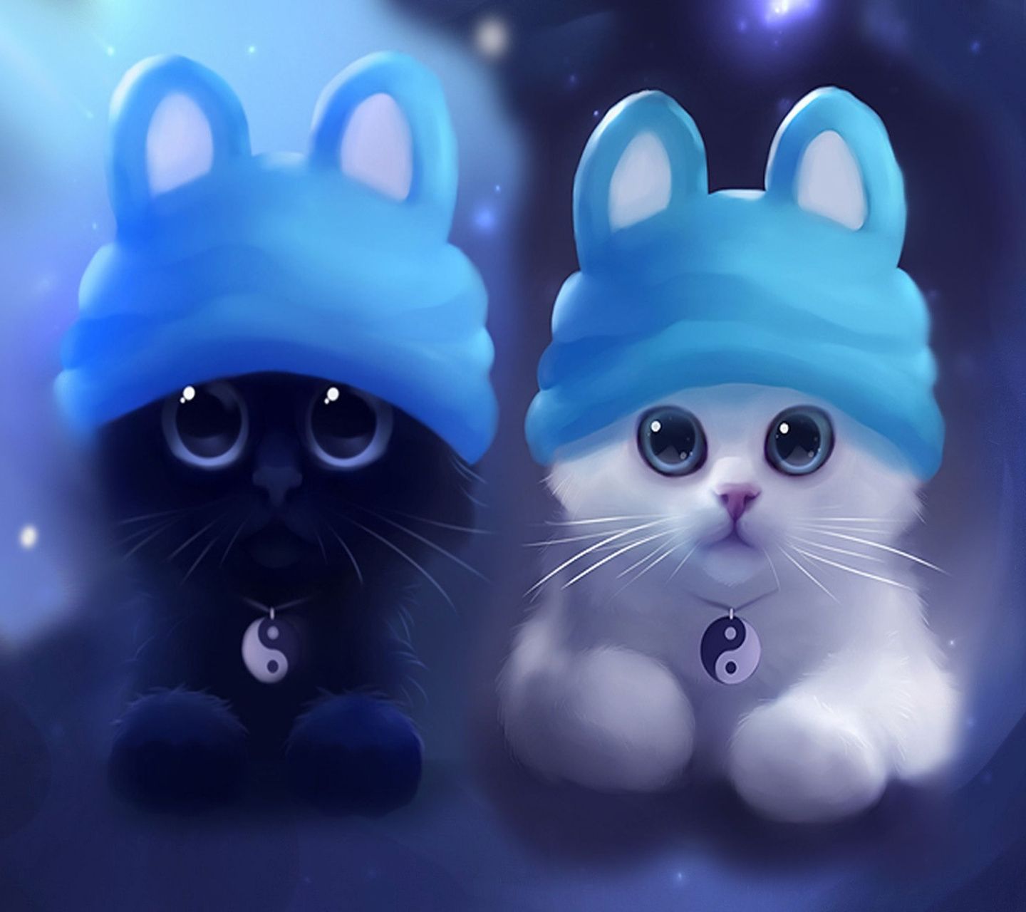 Download Matching Cat Pfp Pacify Wallpaper