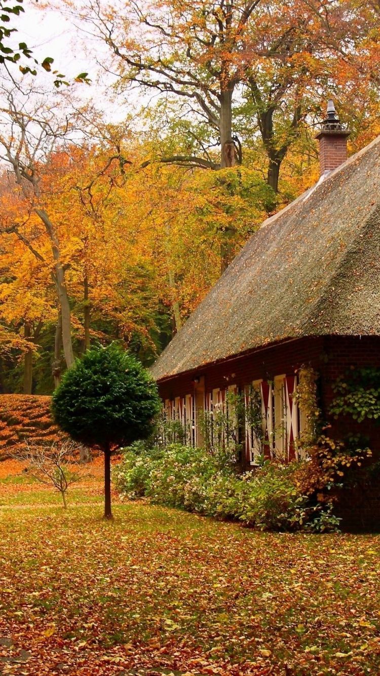 Free download Nature Wallpaper of Autumn Forest with a Small House HD Wallpaper [2560x1600] for your Desktop, Mobile & Tablet. Explore Tiny House Wallpaper. Beautiful Wallpaper for Home, Best