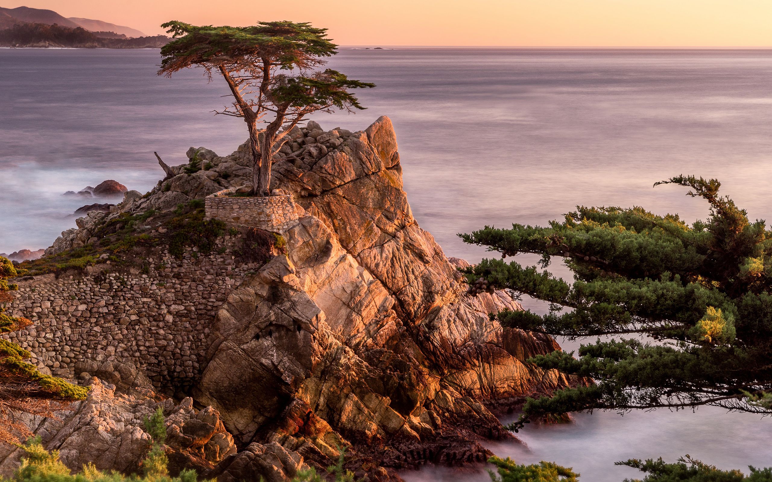Daily Wallpaper: Lone Cypress, Pebble Beach, California. I Like To Waste My Time