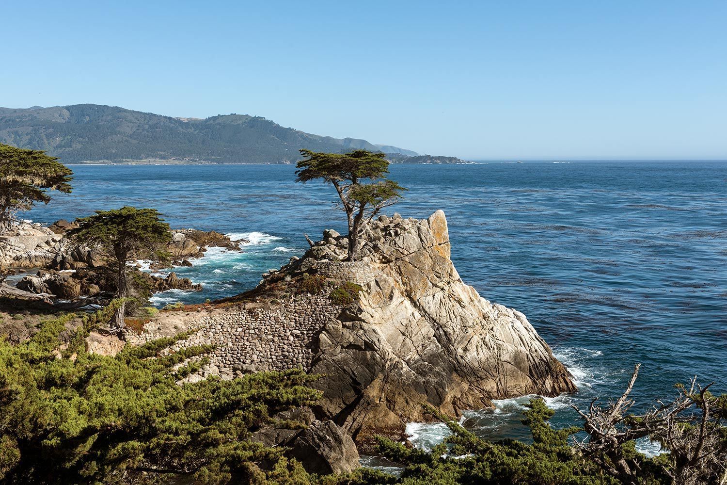 This Is The Lone Cypress From 17 Mile Drive In Pebble Beach, California. This Has Been An Often Visited Drive. Scenic Roads, Scenic, Scenic Drive