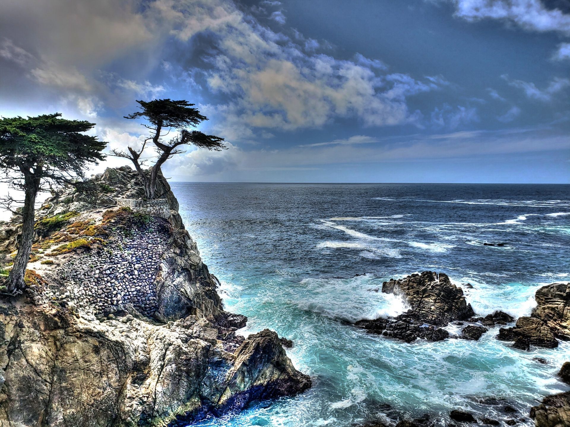 Lone Cypress Artistic Free Domain Picture
