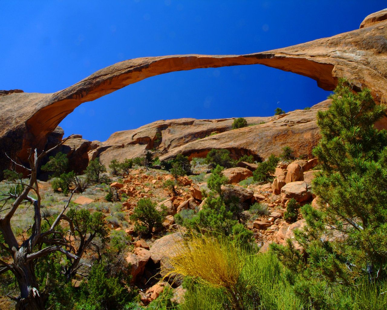 Edenpics Wallpaper & Nature Picture