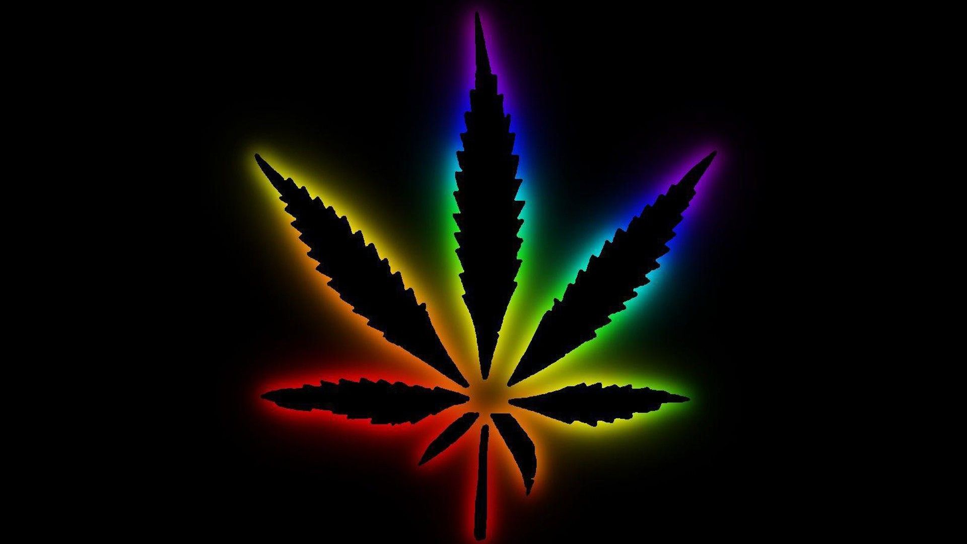 Colorful Weed Leaf In Black Backgrounds HD Weed Wallpapers.
