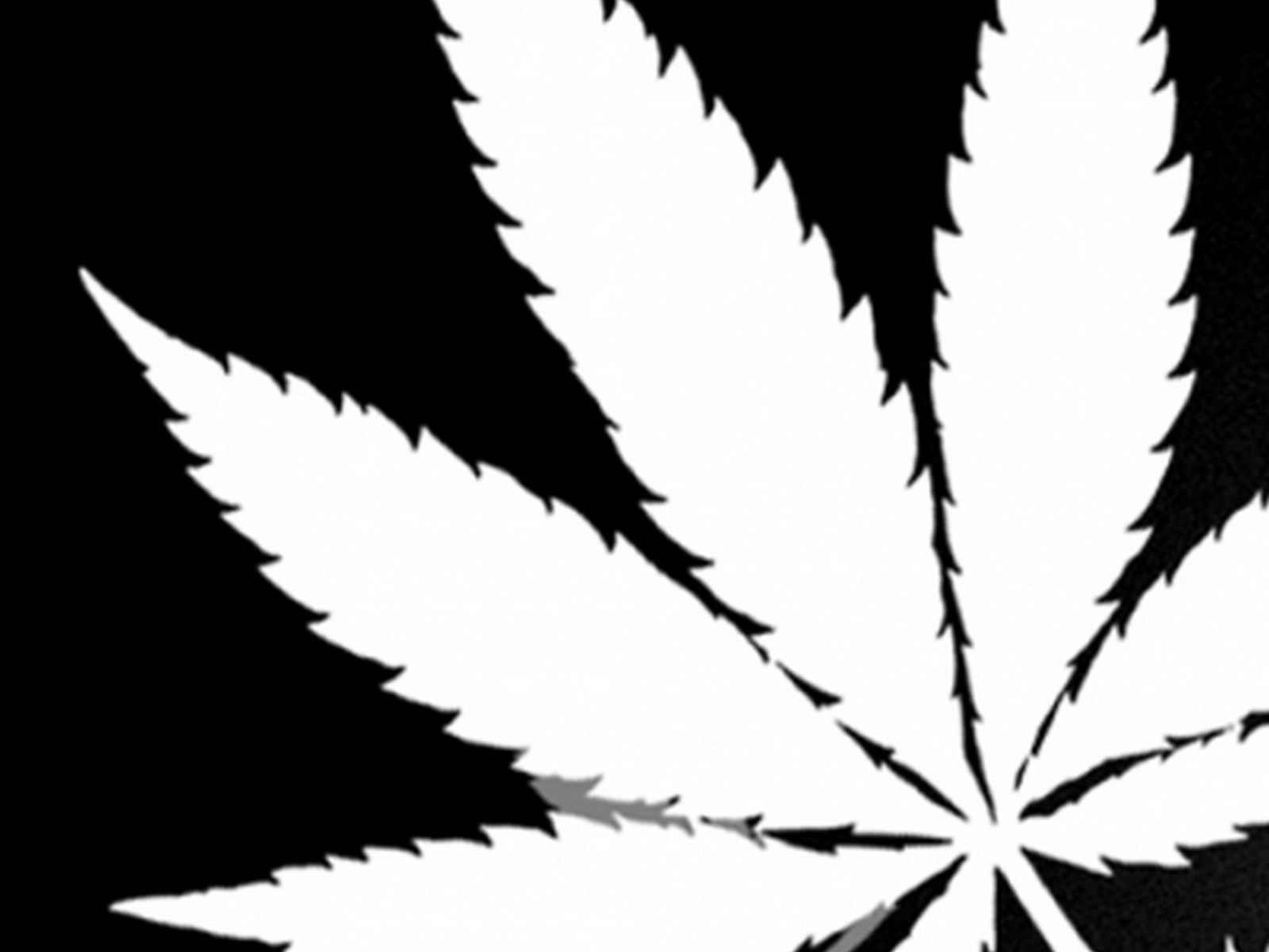 Nice Fat, Big Fn Cannabis Leaf In Black And White Black And White