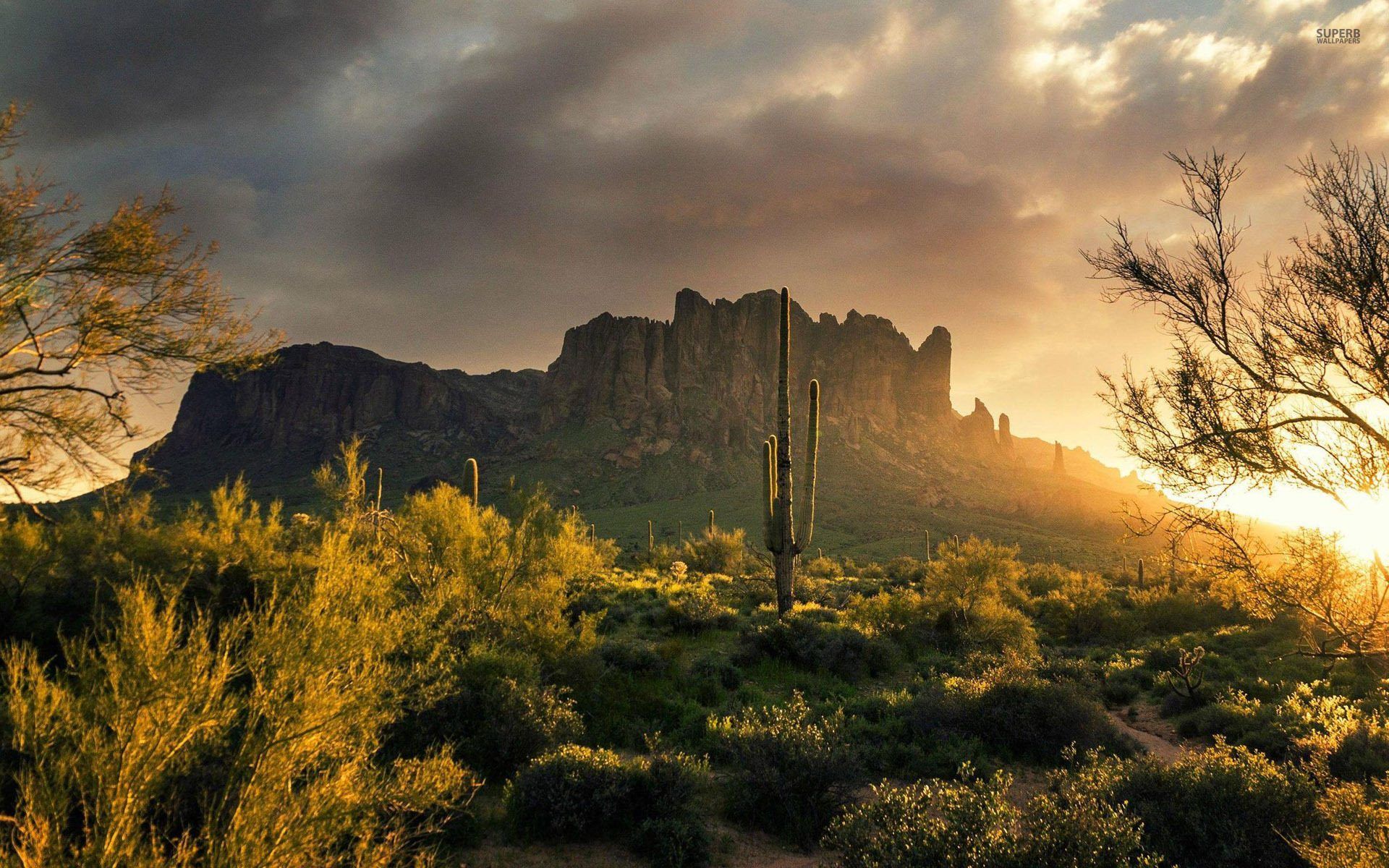 Five things to do before summer in Arizona. AZ Big Media