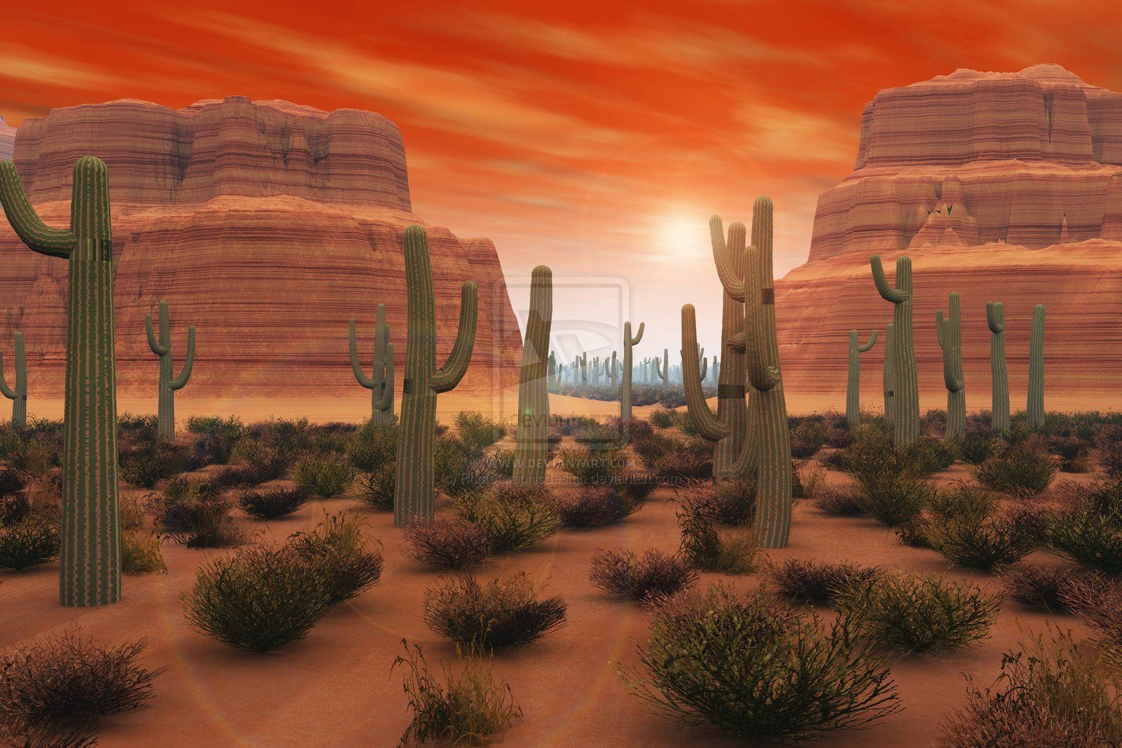 Arizona Desert Wallpaper