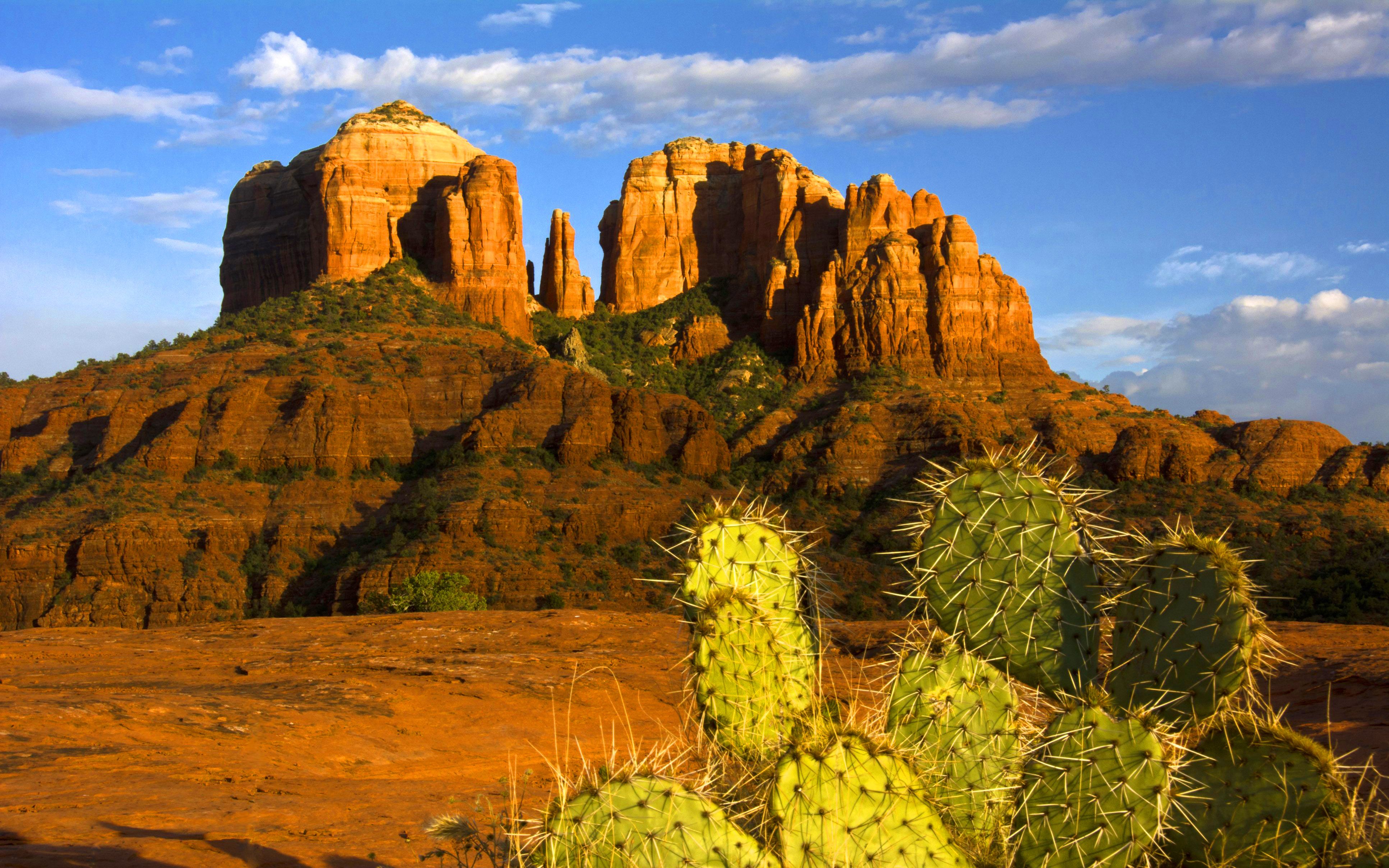 Sedona Arizona USА Cathedral Rock Sunset Cactus Desktop Wallpaper Download Free 3865x2416, Wallpaper13.com
