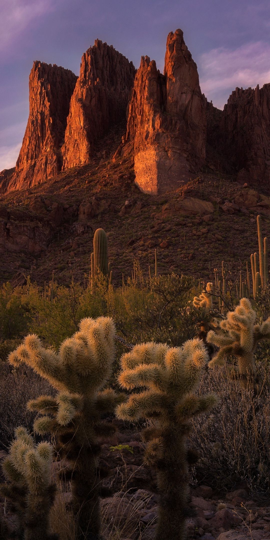 Landscape, cliff, Arizona, USA, 1080x2160 wallpaper. Wallpaper, Mountain wallpaper, Landscape