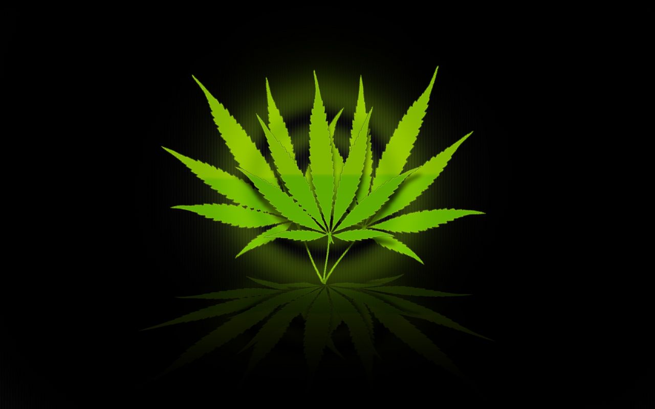 Free download Weed Leaves Wallpaper Marijuana leaves by digital [1280x800] for your Desktop, Mobile & Tablet. Explore Weed Leaf Wallpaper. Live Weed Wallpaper That Move, Cool Marijuana Wallpaper, Free