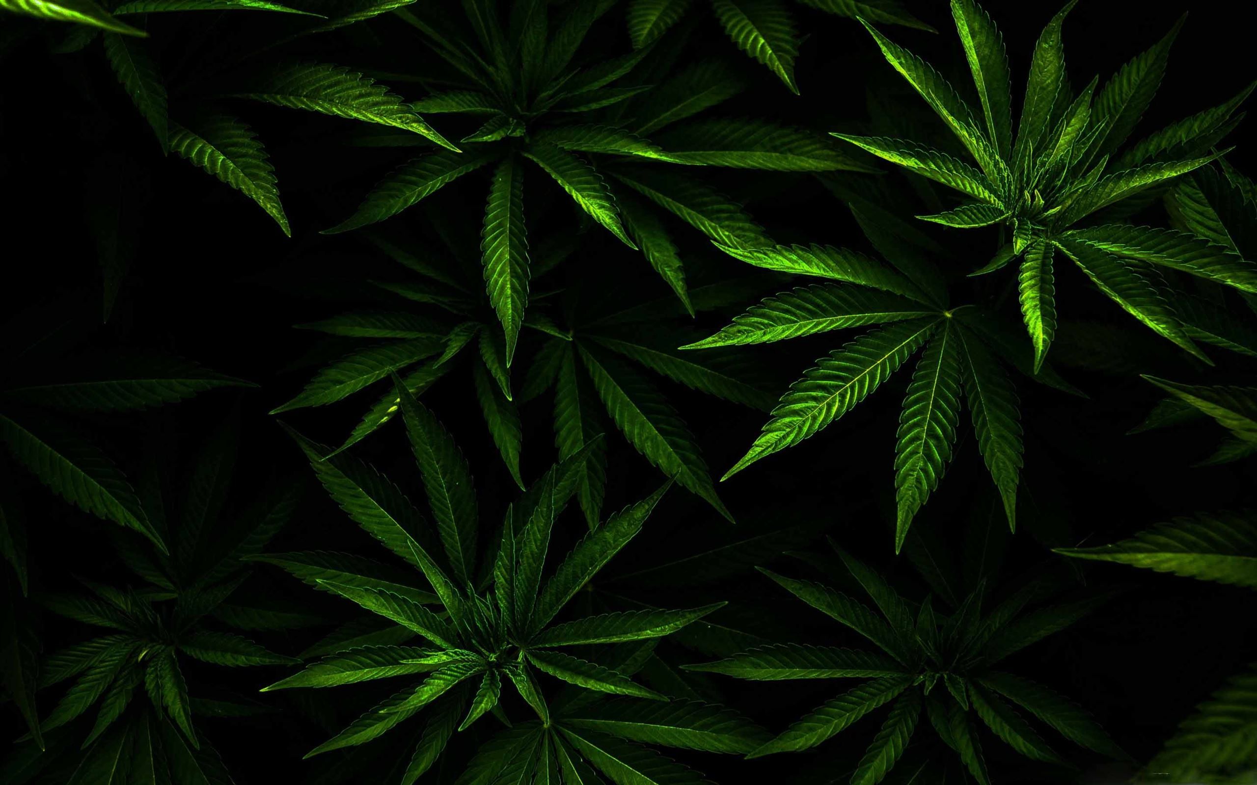 The Weed Mac Wallpaper Download