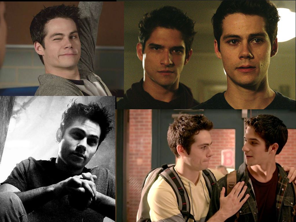 Stiles Scott Wallpaper Wolf Wallpaper