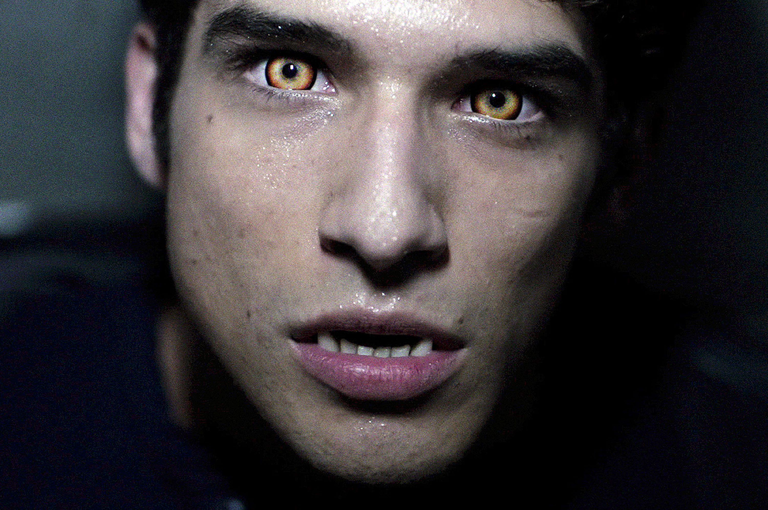 Teen Wolf HD Posey As A Wolf Wallpaper & Background Download