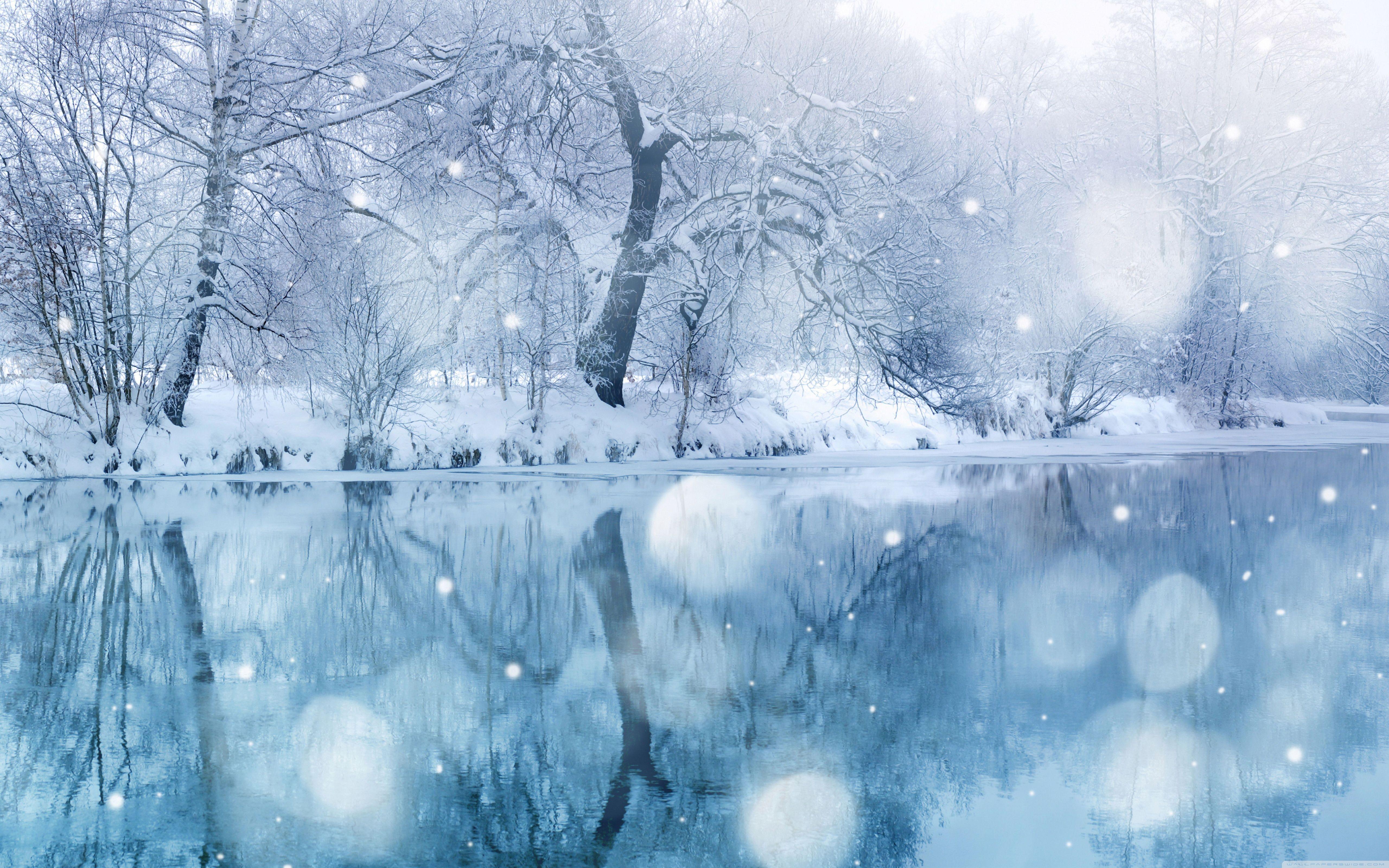 Winter Snowfall ❤ 4K HD Desktop Wallpaper for 4K Ultra HD TV • Dual