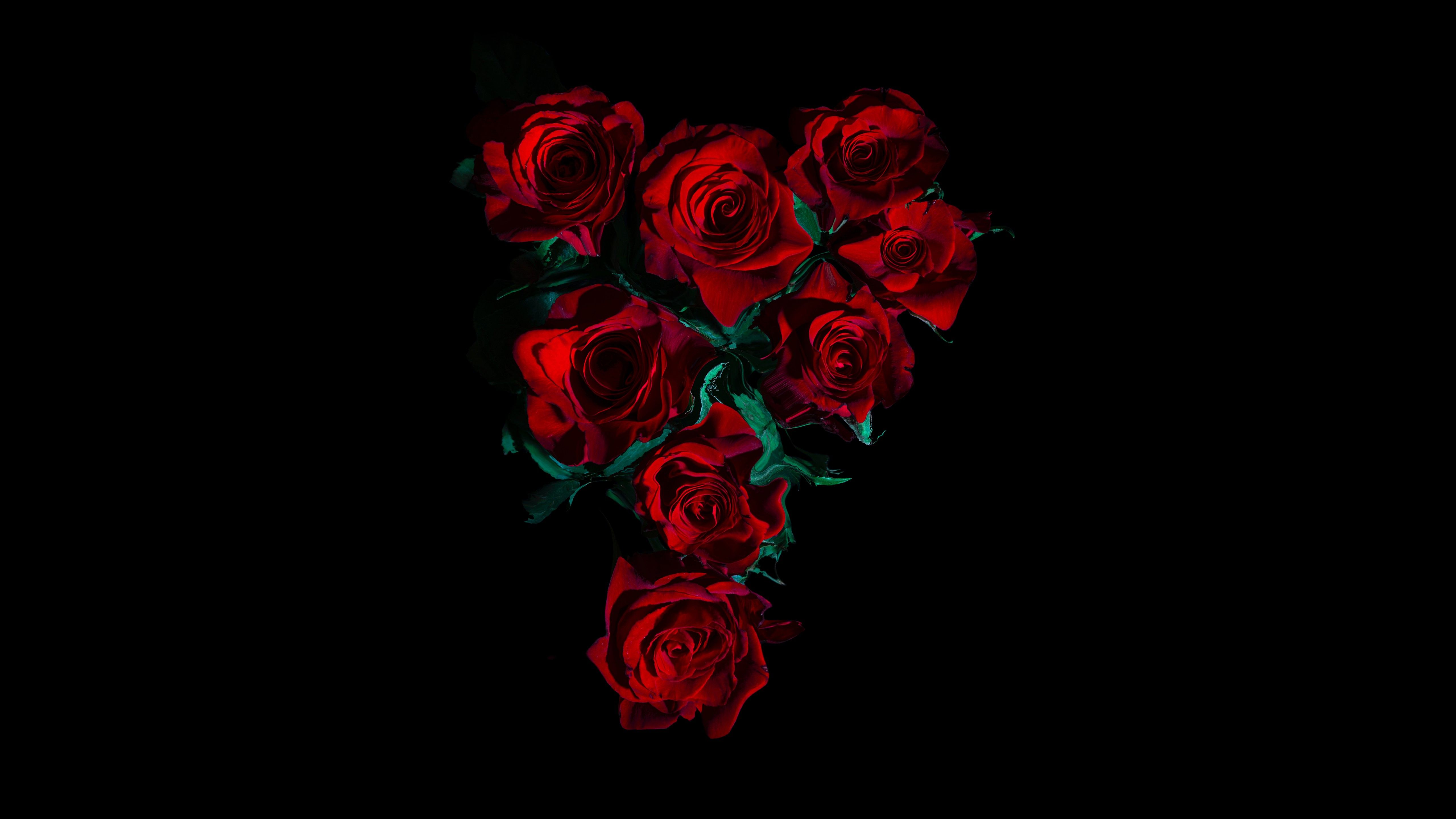 Red Roses 4K Wallpaper, Flower bouquet, Black background, 5K, 8K, Flowers,