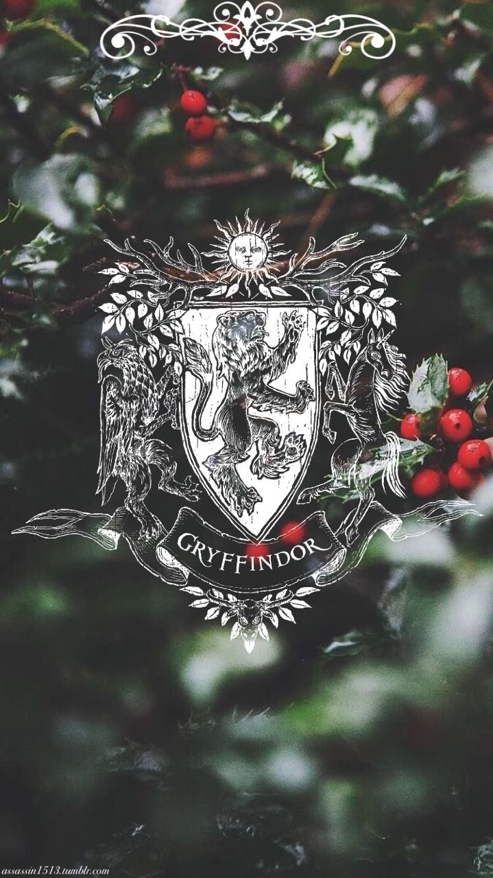 Aesthetic Harry Potter