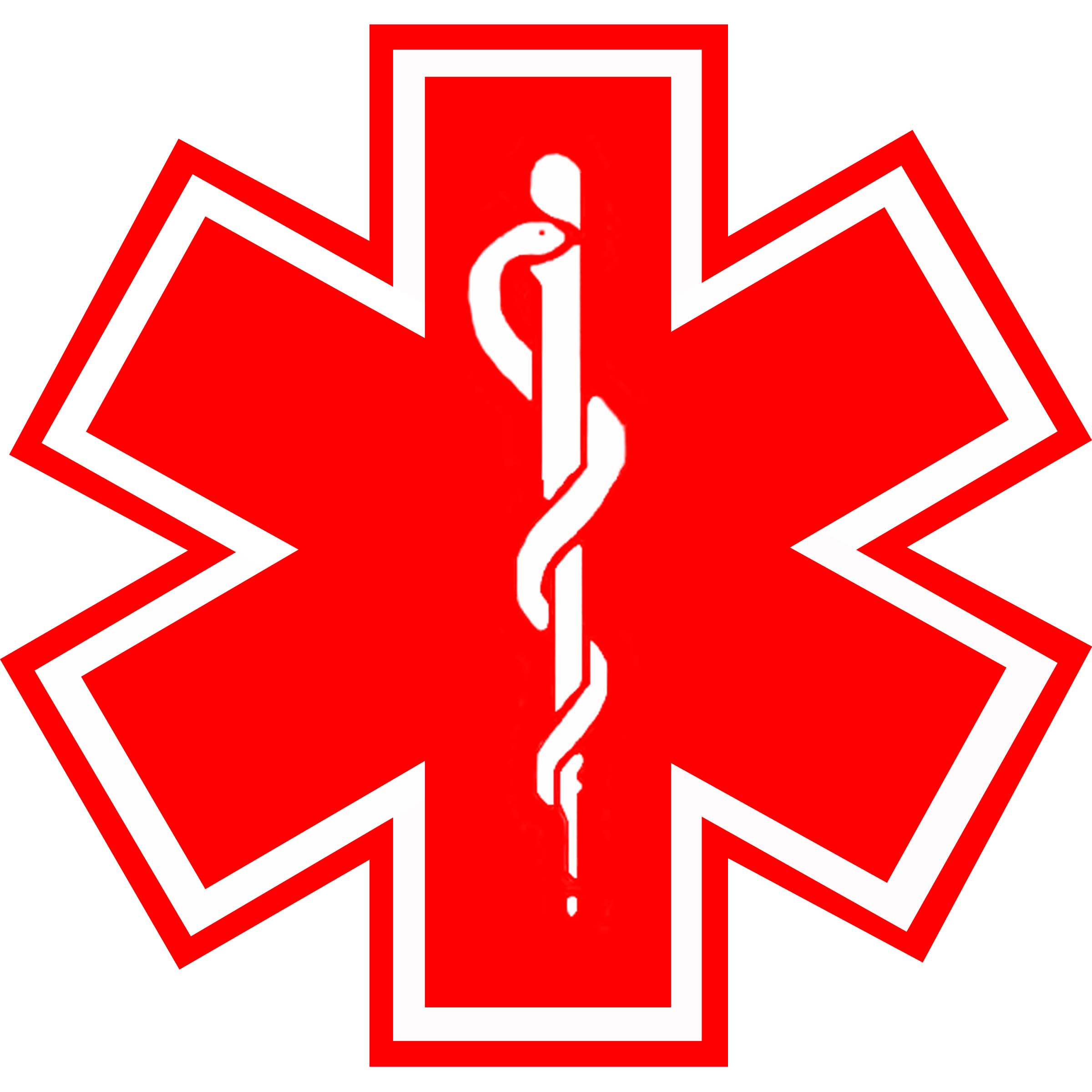 Medical Alert Logo