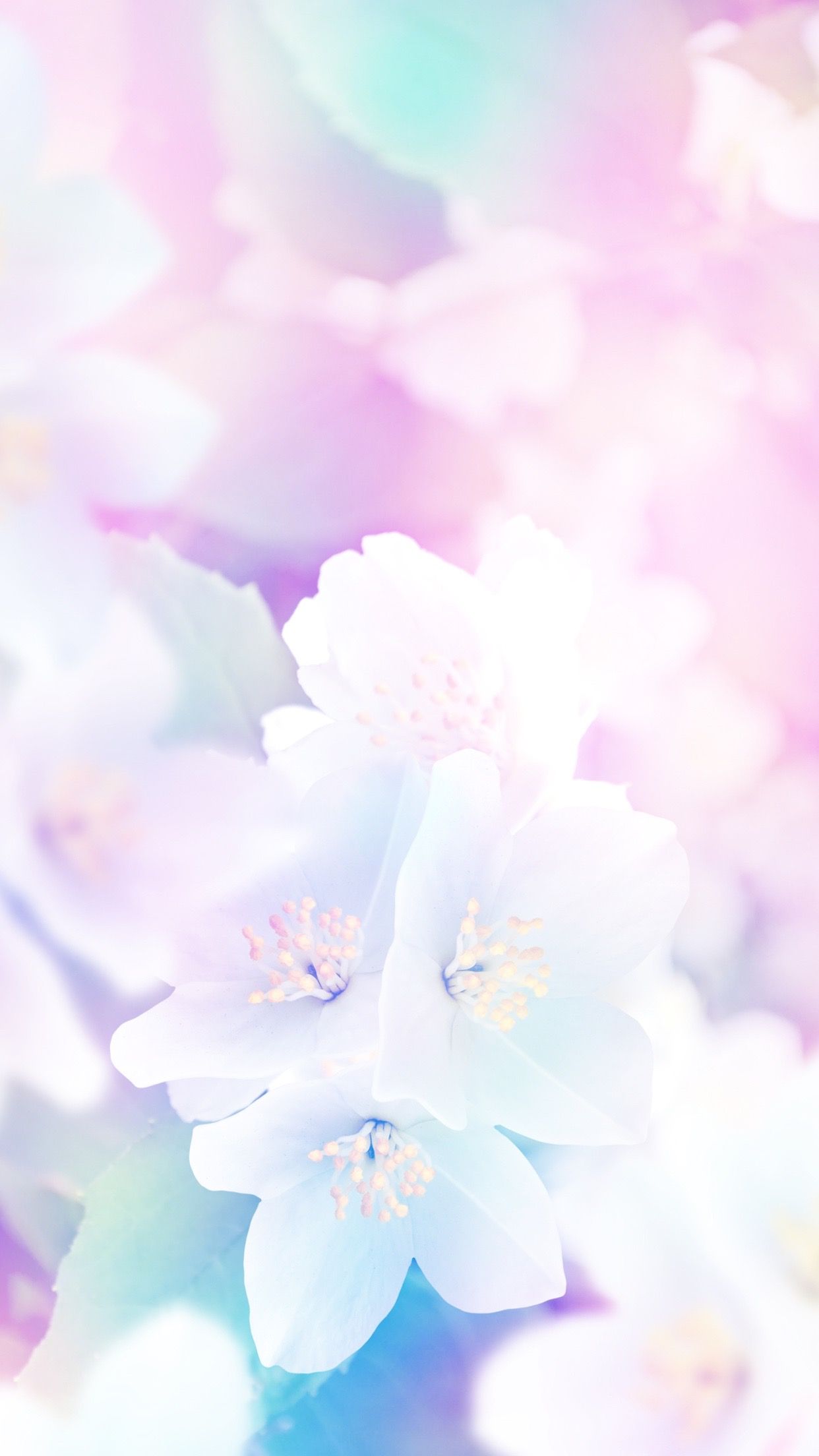 pastel flower background