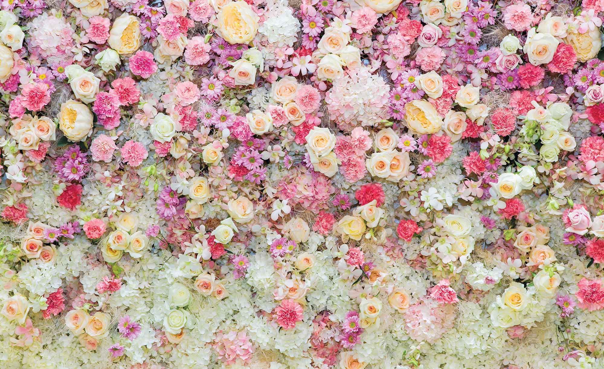 Pastel Flower Wallpaper Free Pastel Flower Background