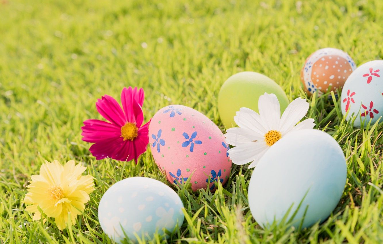 Wallpaper grass, flowers, eggs, Easter, flowers, spring, Easter, eggs, decoration, pastel colors image for desktop, section праздники