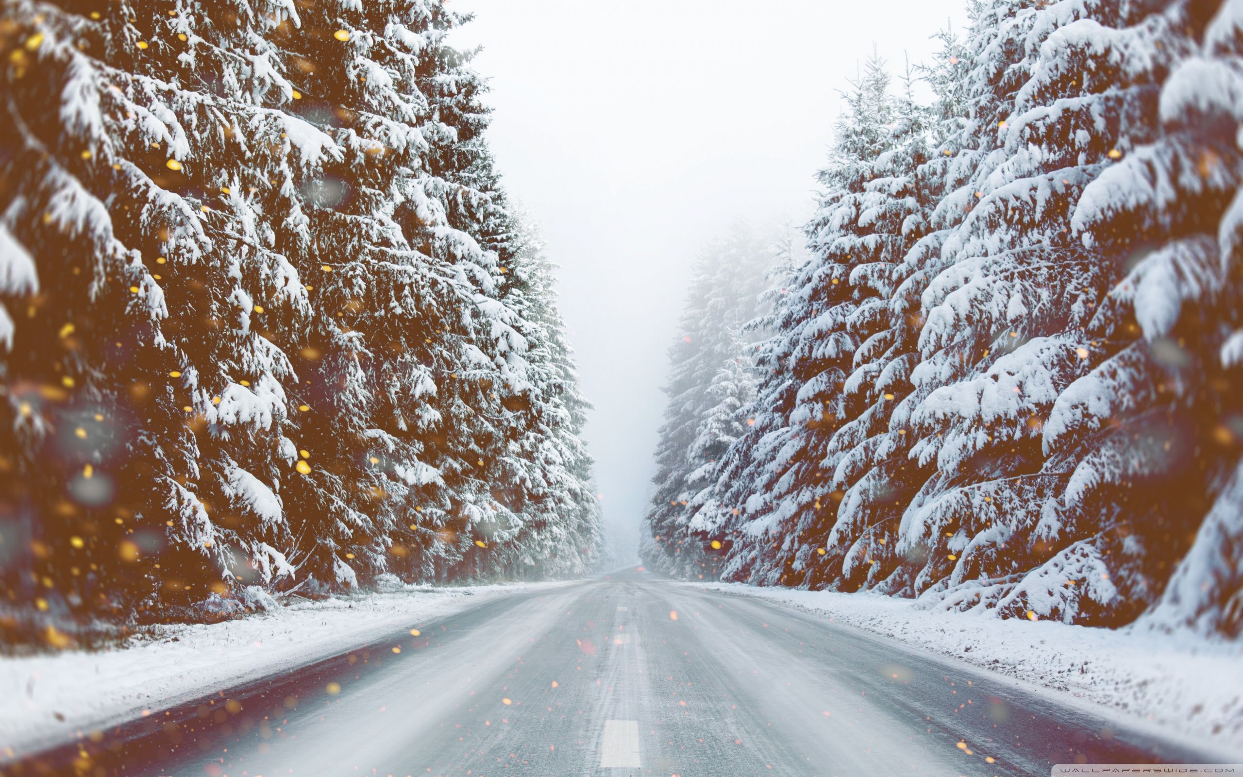 Winter Magic Ultra HD Desktop Background Wallpaper for 4K UHD TV, Widescreen & UltraWide Desktop & Laptop, Multi Display, Dual Monitor, Tablet