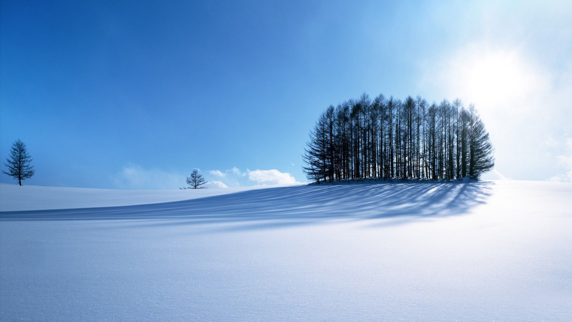 Winter Wallpaper HD