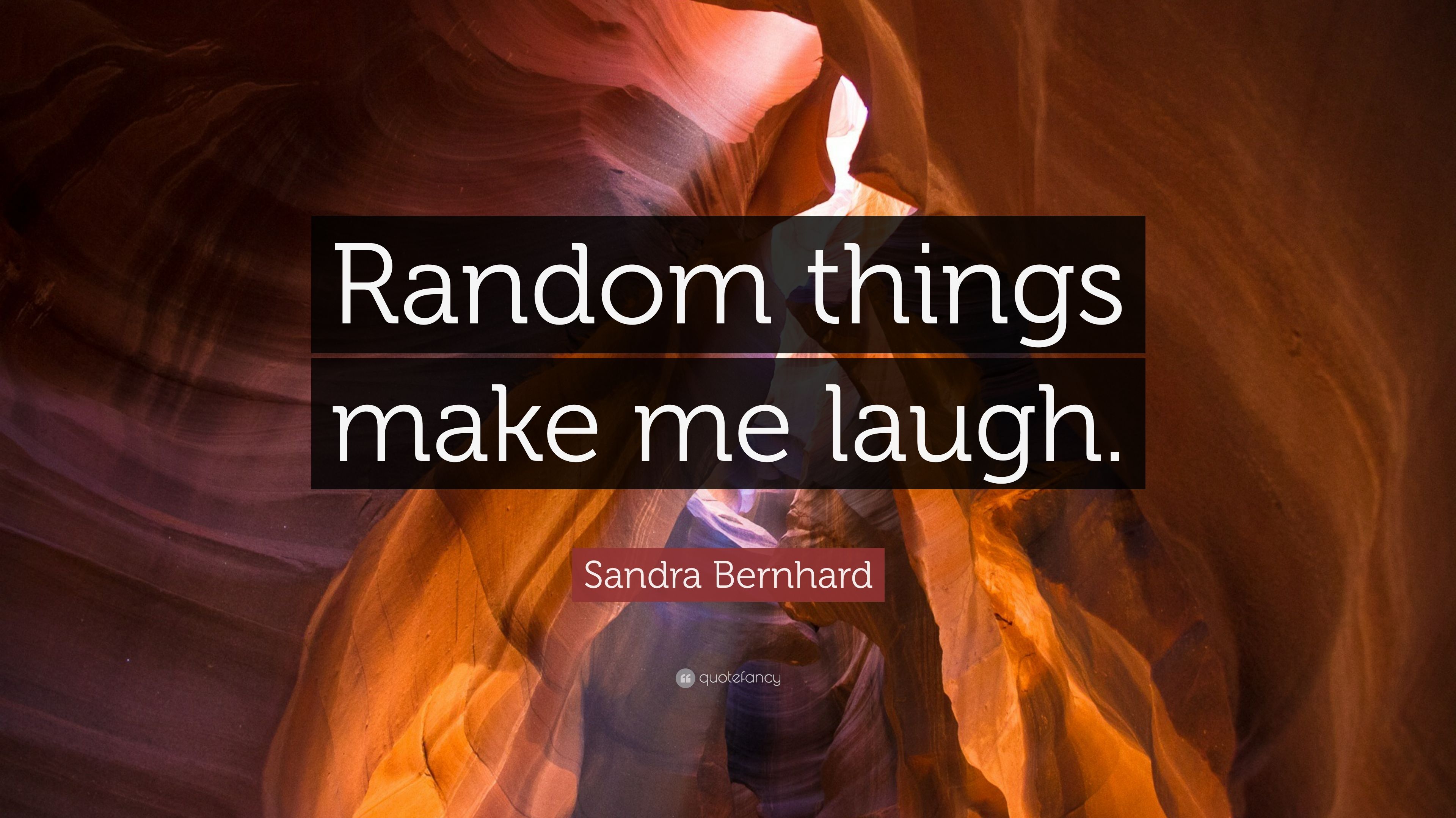 Sandra Bernhard Quote: “Random things make me laugh.” (7 wallpaper)