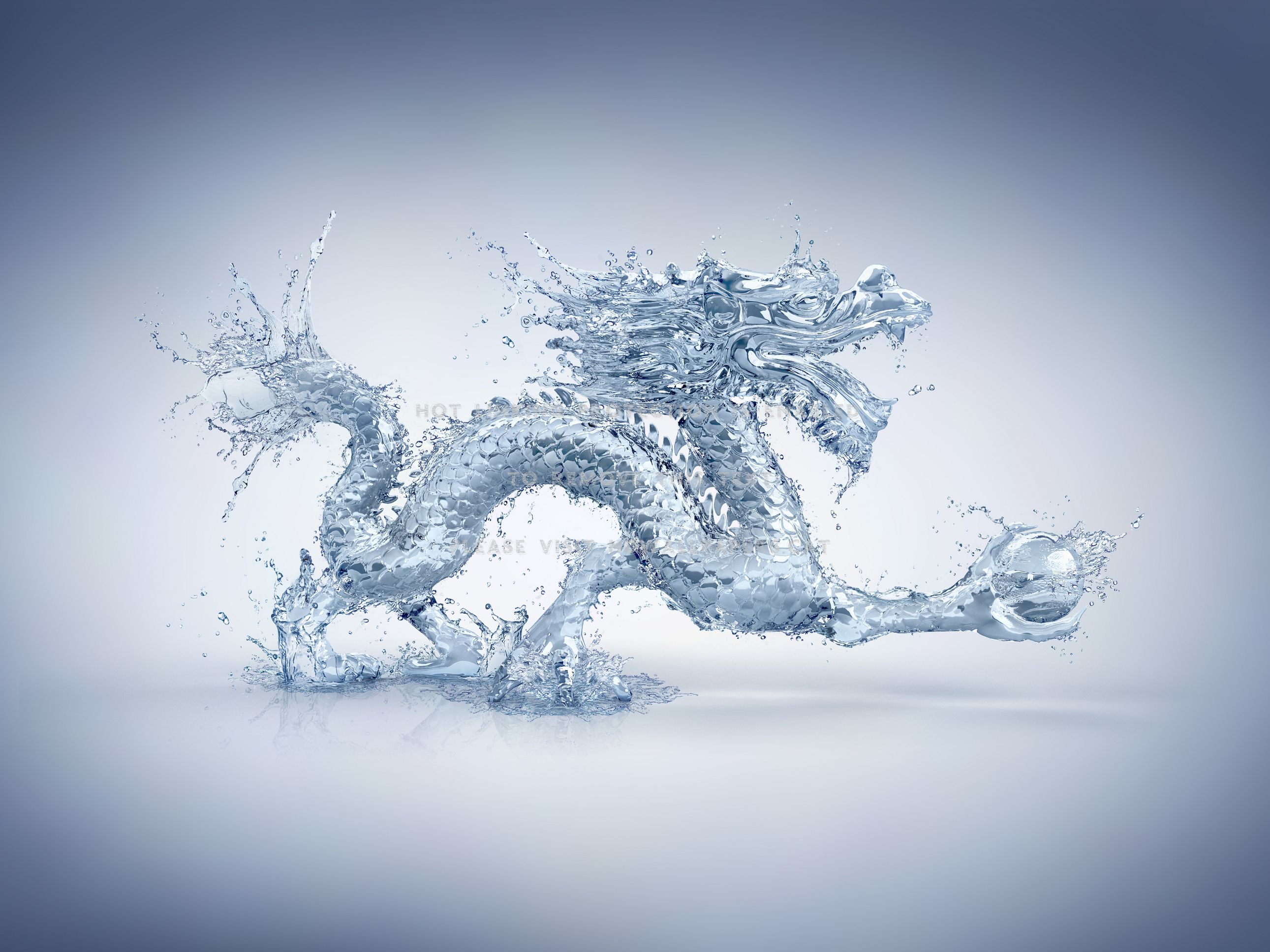 Water Dragon Feng Shui Element Clear Elemental Water Dragon