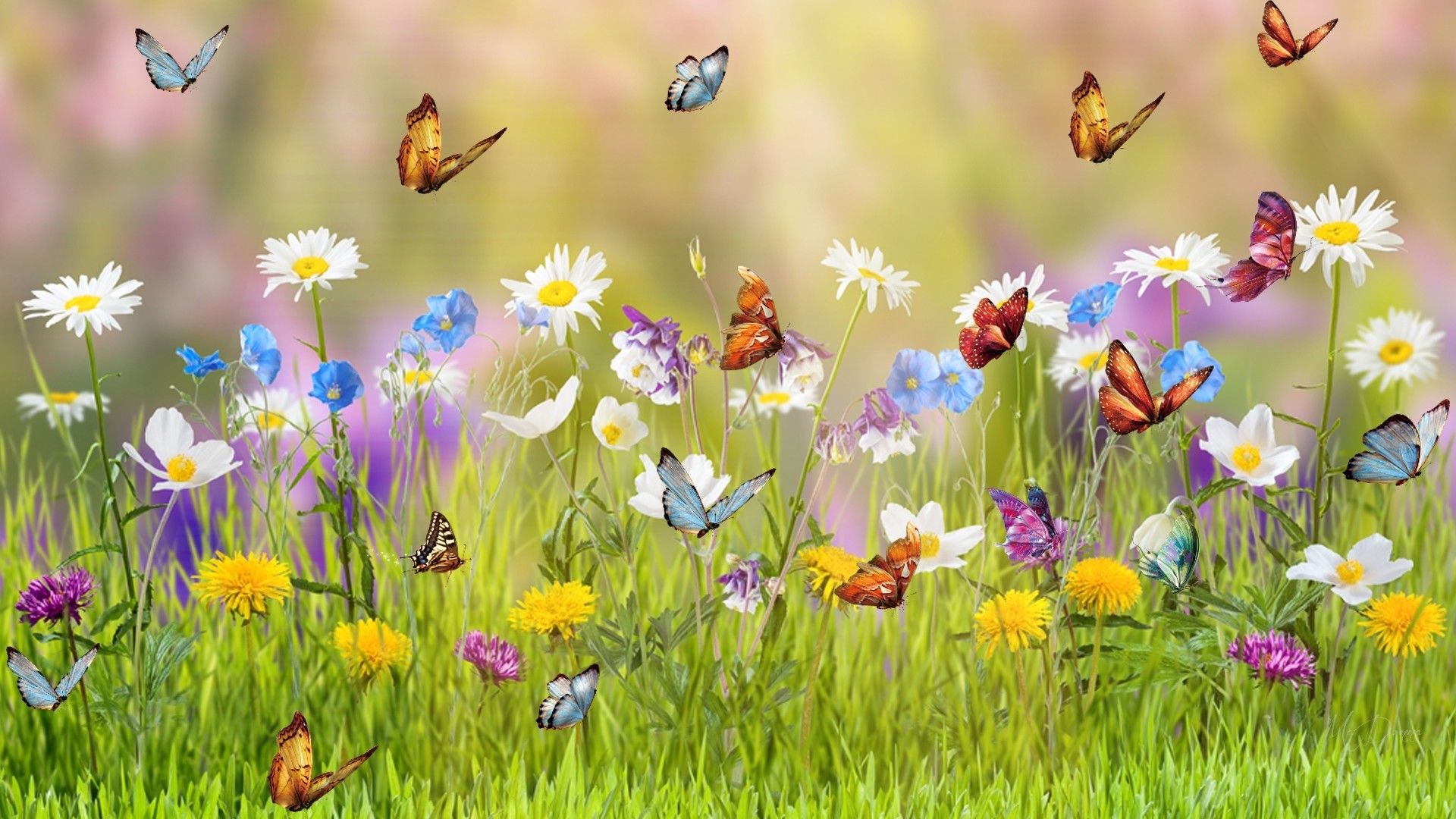 Spring Meadow Wallpaper background picture