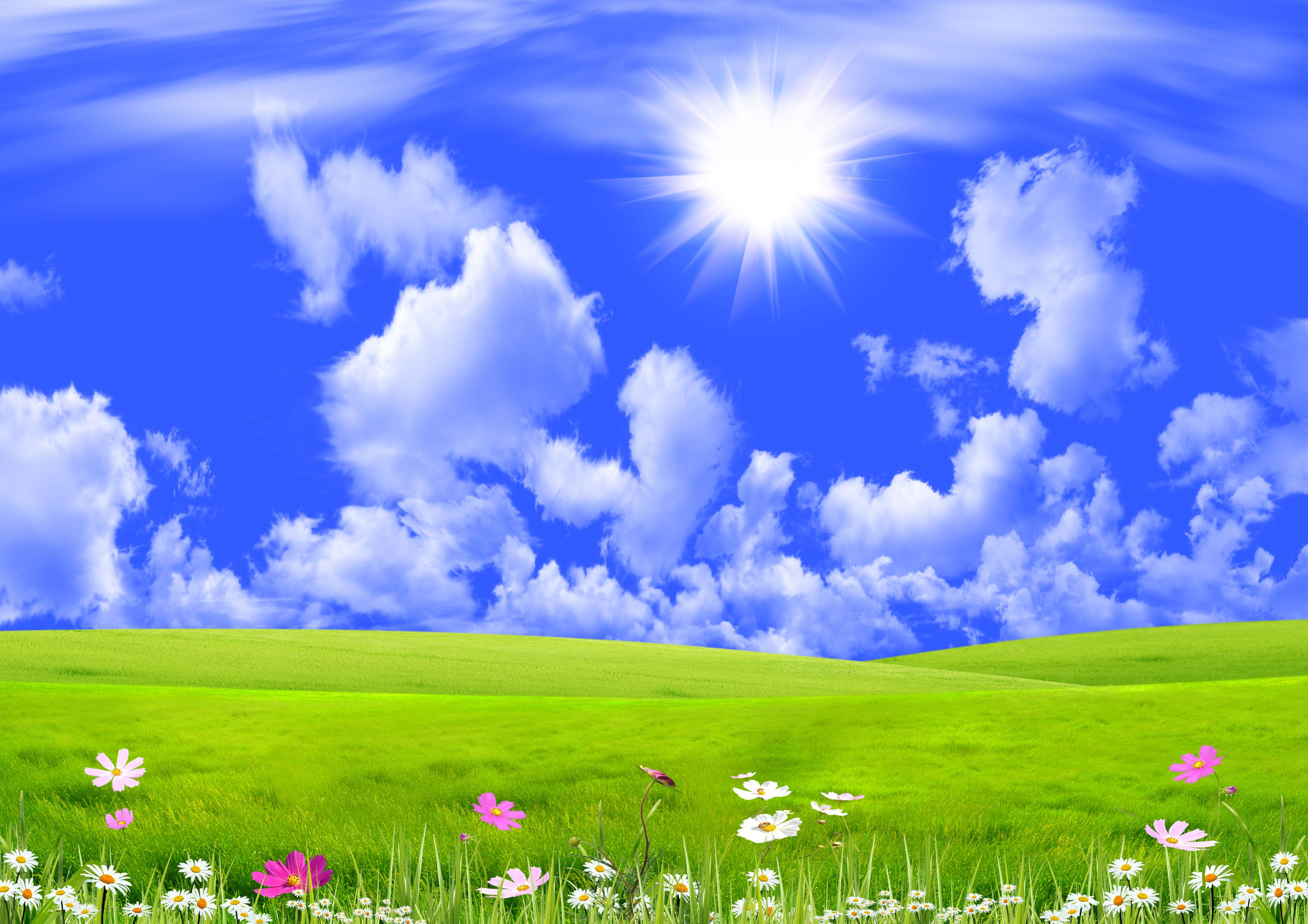 Spring Meadow Desktop Background HD Wallpaper