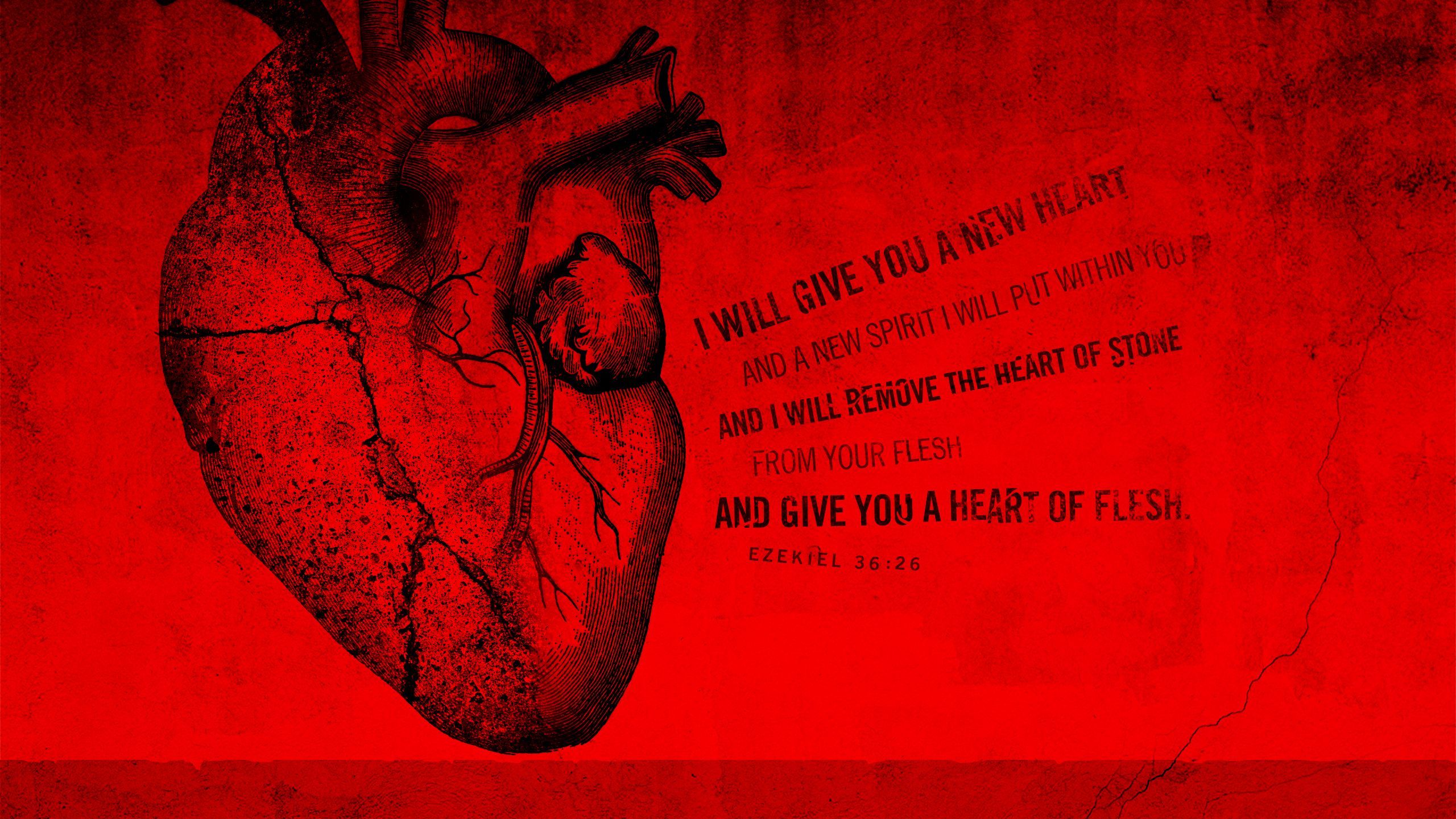 Human Heart Medical Heart Wallpaper