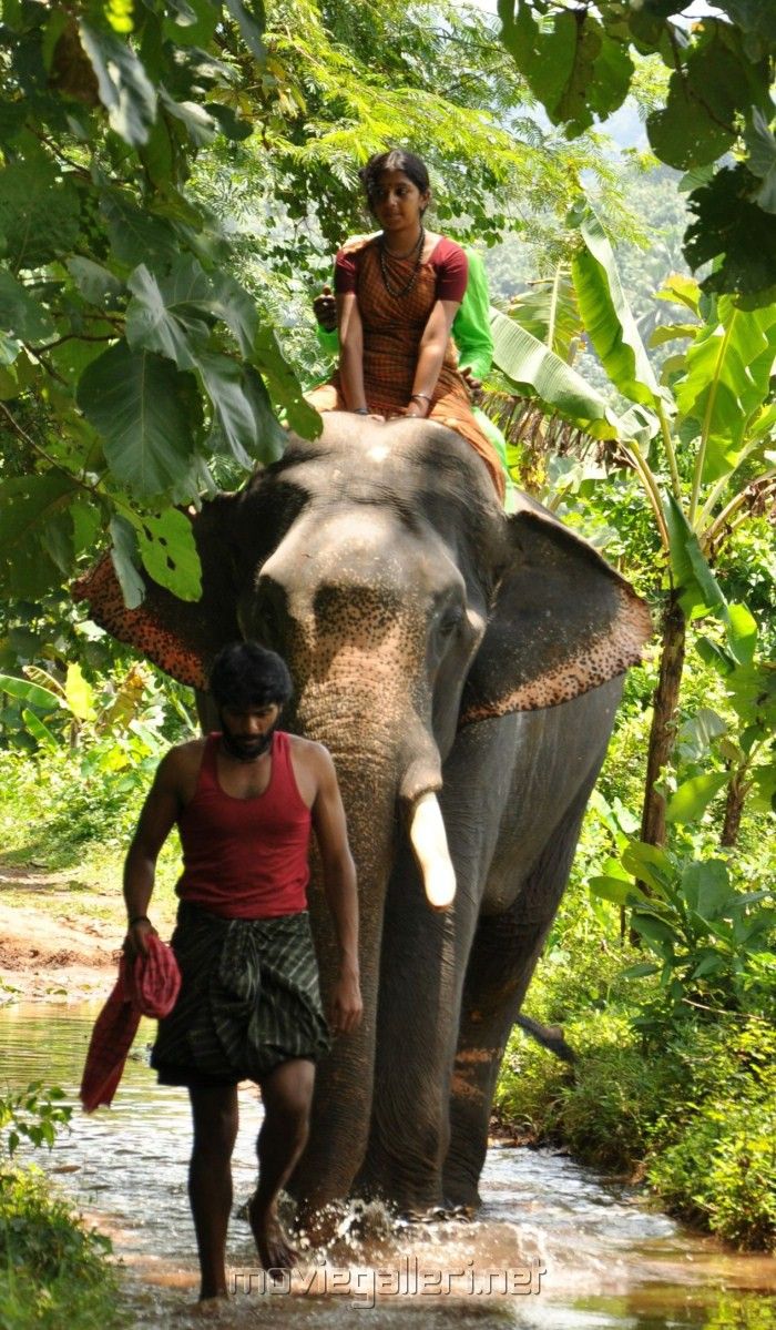 Kumki Movie Stills Vikram Lakshmi Menon Kumki Photo Gallery. New Movie Posters