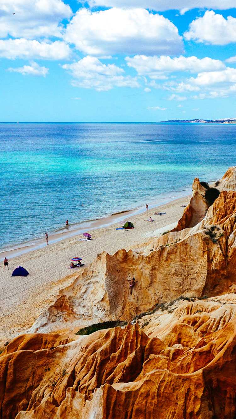 Summer Wallpaper Free HD Wallpaper