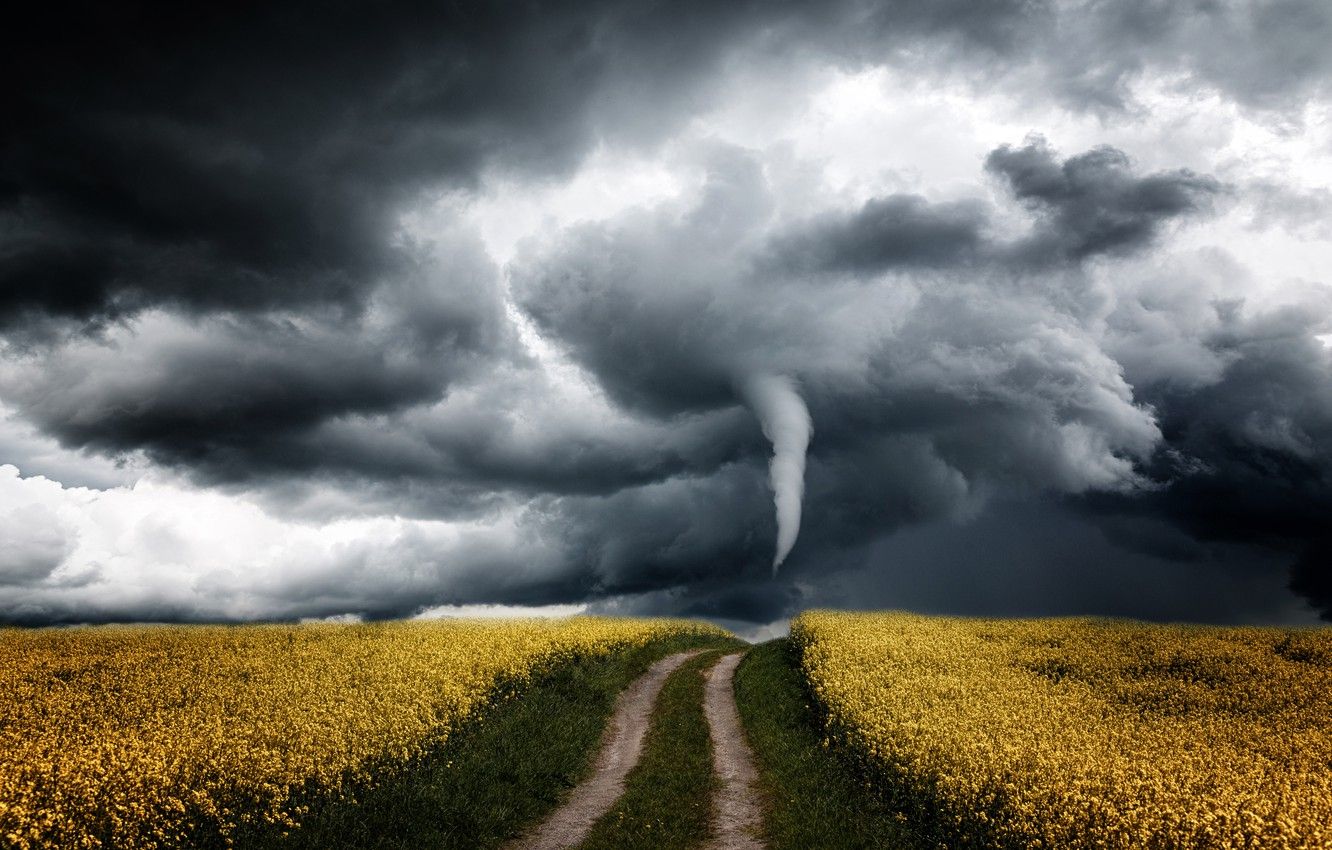 Wallpaper road, the storm, field, the sky, flowers, clouds, storm, the way, the wind, storm, yellow, space, hurricane, tornado, path, gloomy image for desktop, section пейзажи
