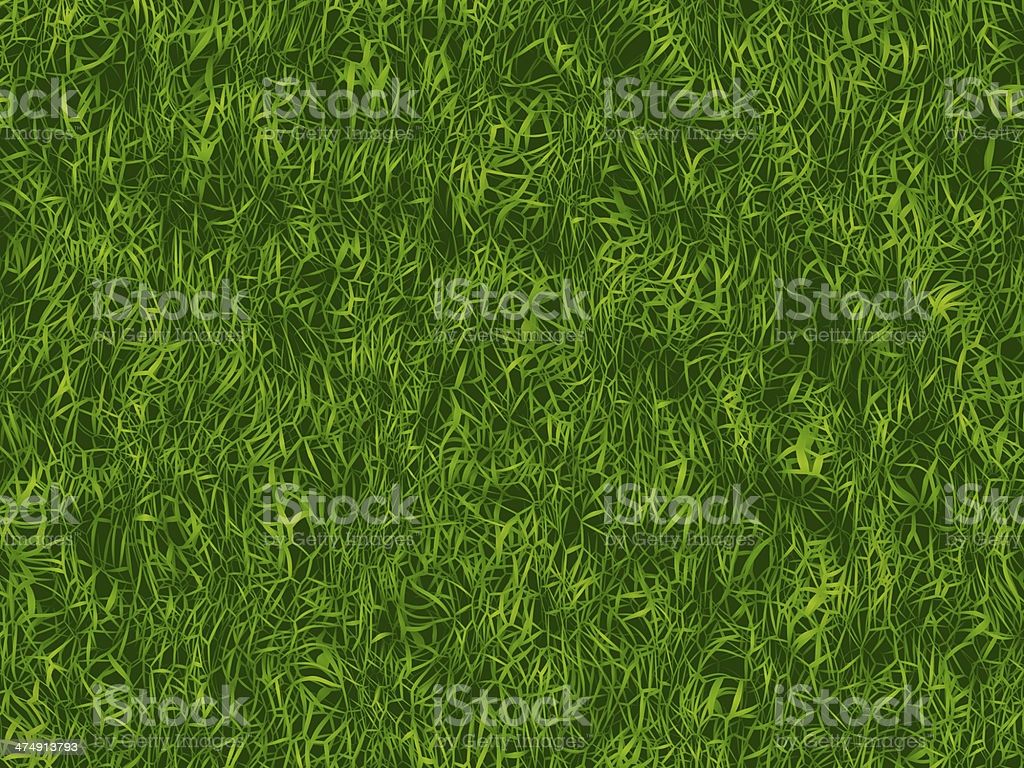 Lush Green Grass Texture Wallpaper Pattern Image Now