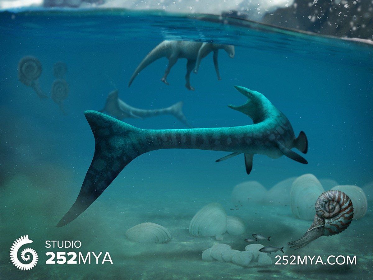 Tylosaurus sp