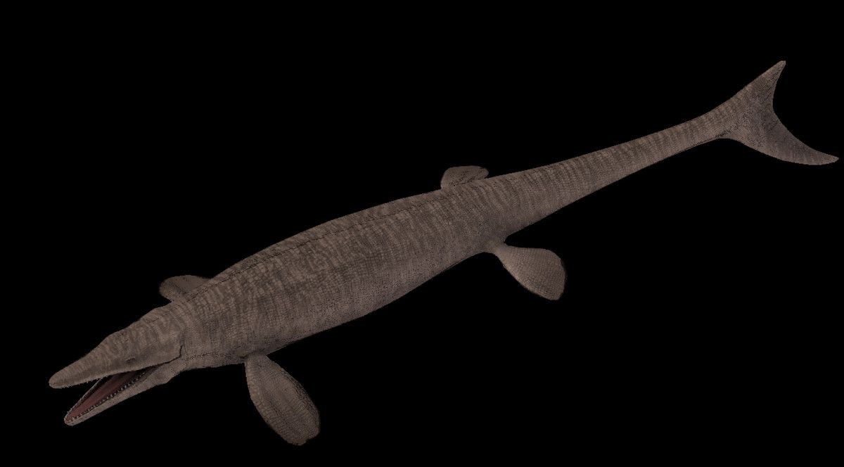 Tylosaurus Asset Pack. Characters. Unity Asset Store. Unity asset store, Character, Abstract photo