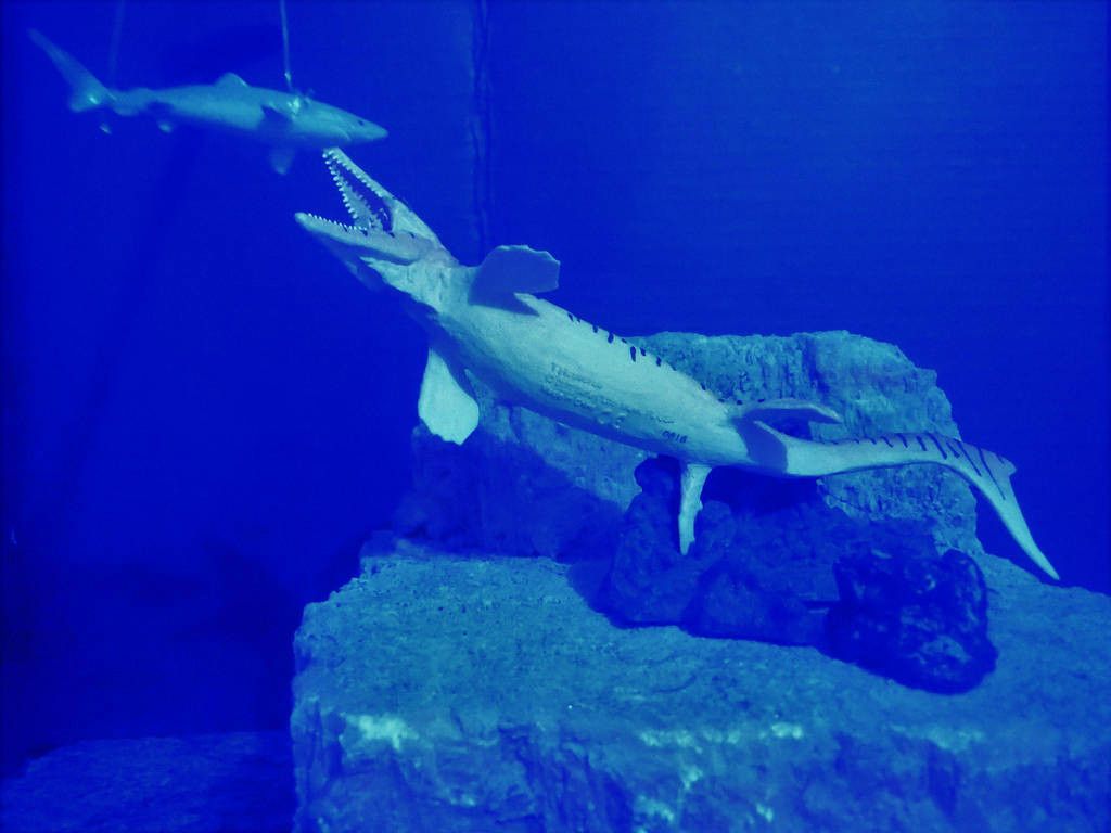 Jose R. Vazquez Rodriguez