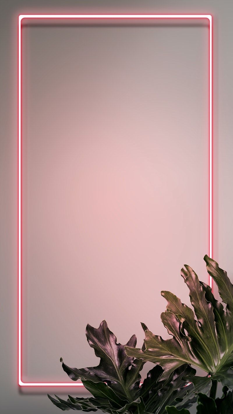 Free Vectors, PNGs, Mockups & Background