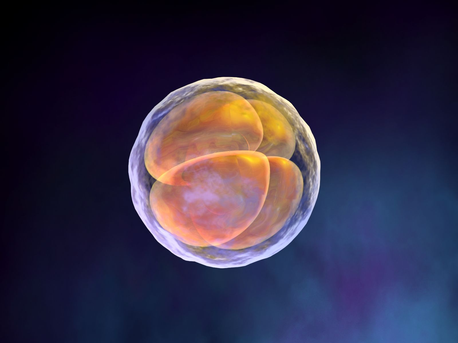 Embryo Wallpaper. Embryo Wallpaper, X Blaze Code Embryo Wallpaper and Human Embryo Wallpaper