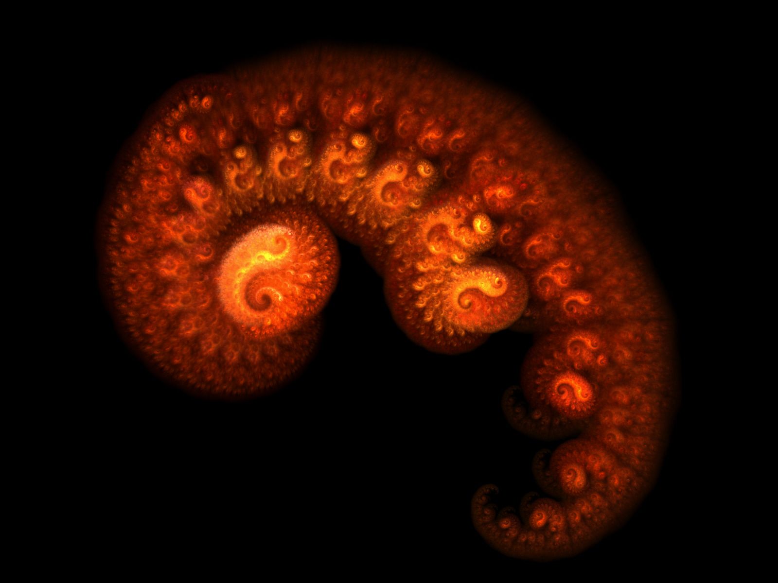 Embryo Wallpaper. Embryo Wallpaper, X Blaze Code Embryo Wallpaper and Human Embryo Wallpaper