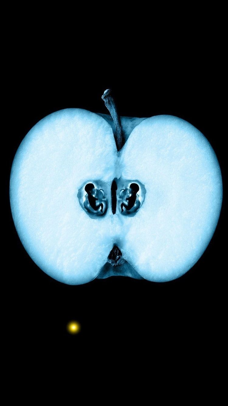 X Ray Apple, Embryo, Creative Design 750x1334 IPhone 8 7 6 6S Wallpaper, Background, Picture, Image