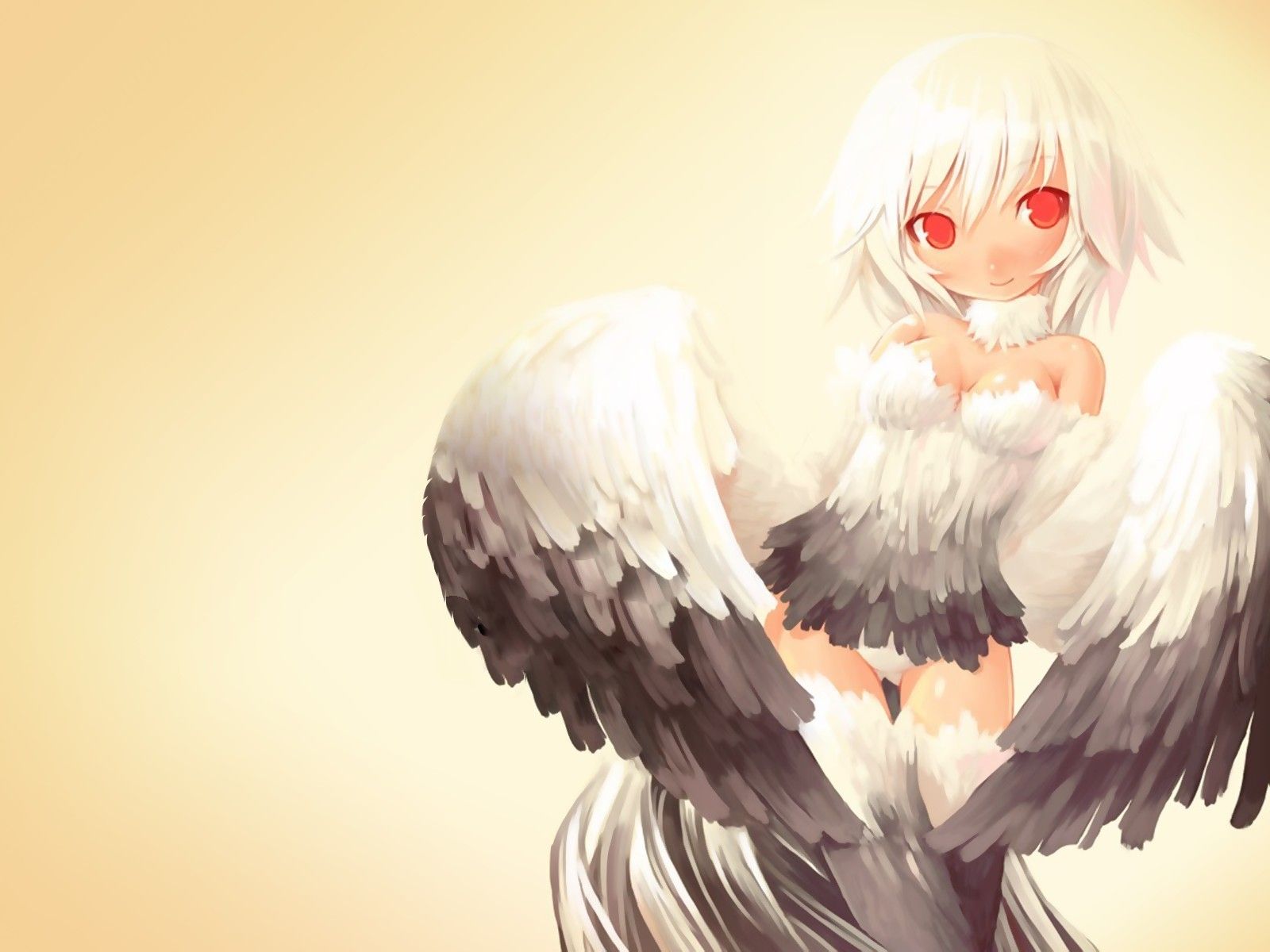 Wallpaper, illustration, anime girls, wings, original characters, bird, wing 1600x1200