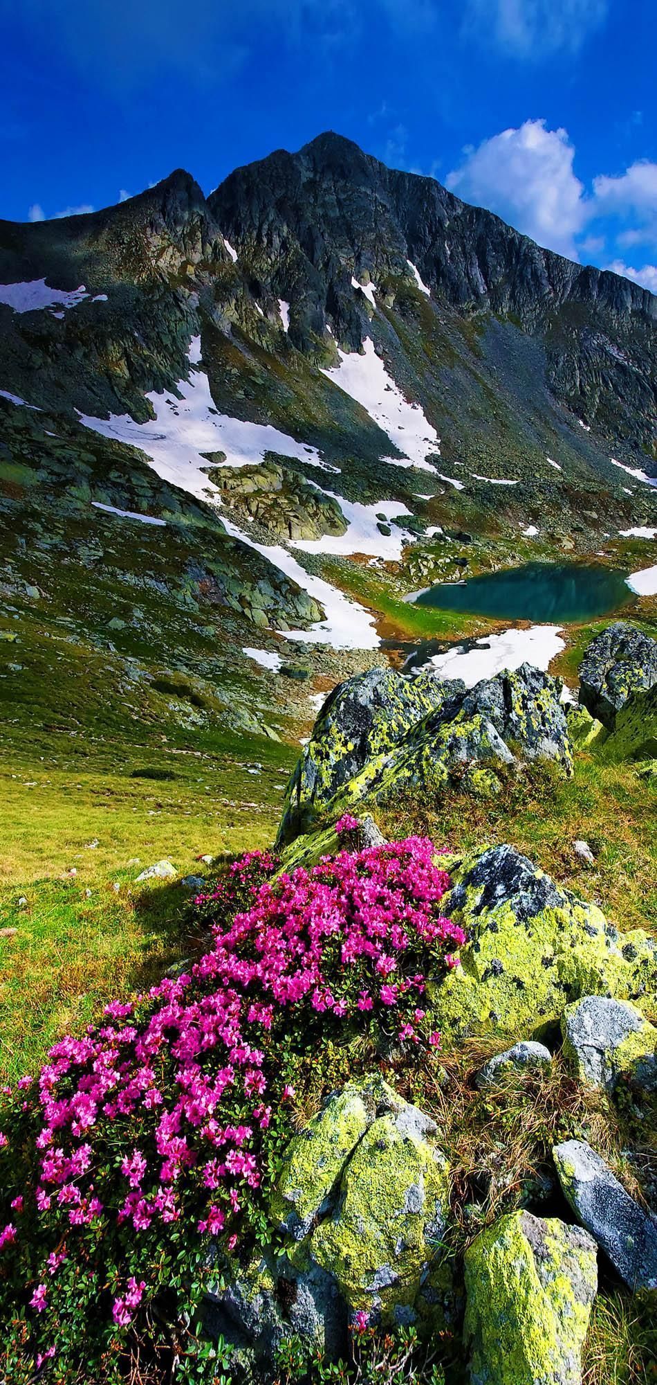 Discover Amazing Romania through 44 Spectacular Photo AmonGraf. Beautiful landscapes, Beautiful nature, National parks