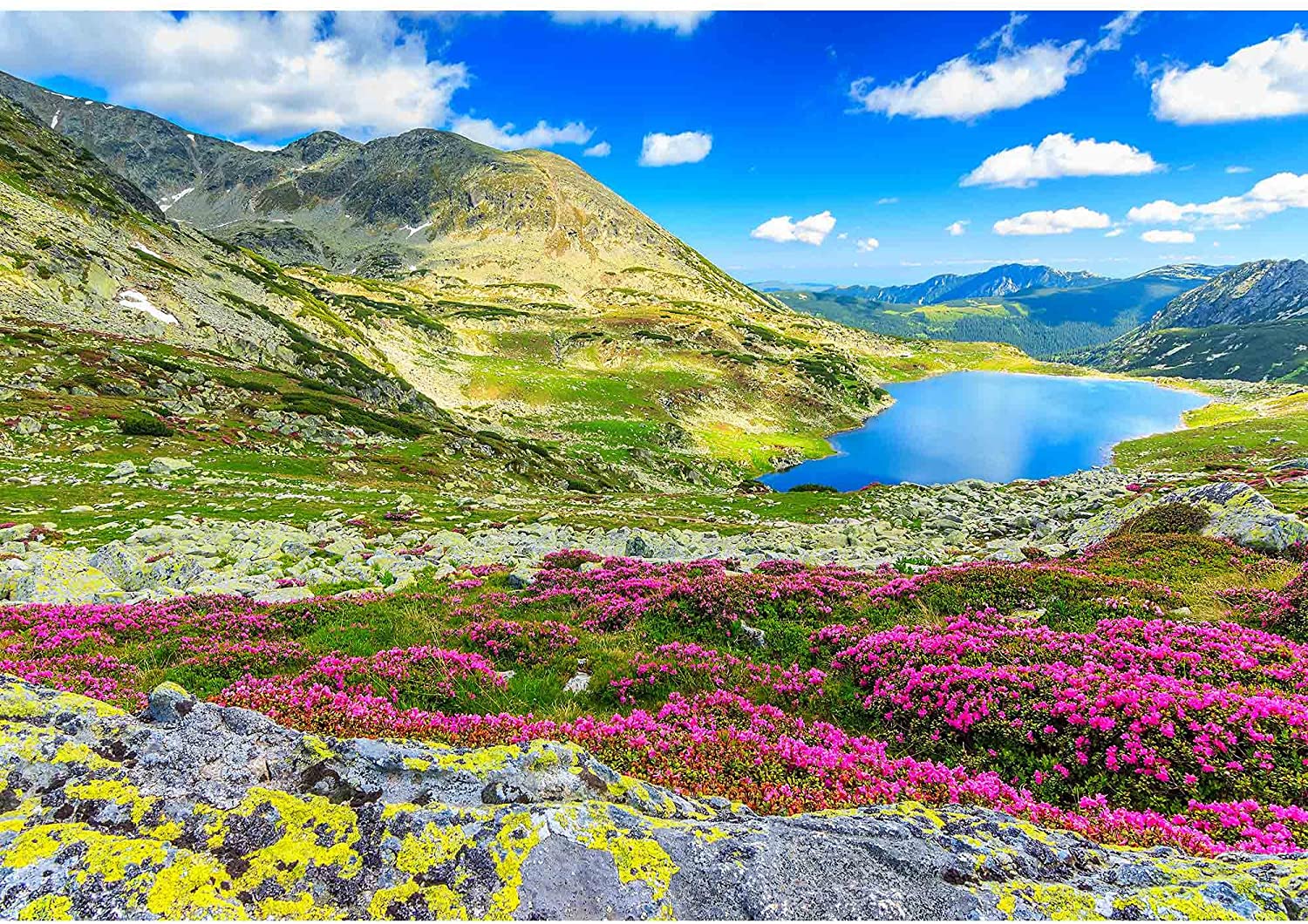 Wall26 Lake, High Mountains And Stunning Pink Rhododendron Flowers, Retezat National Park, Carpathians, Romania, Europe Wall Mural. Self Adhesive Large Wallpaper Inches